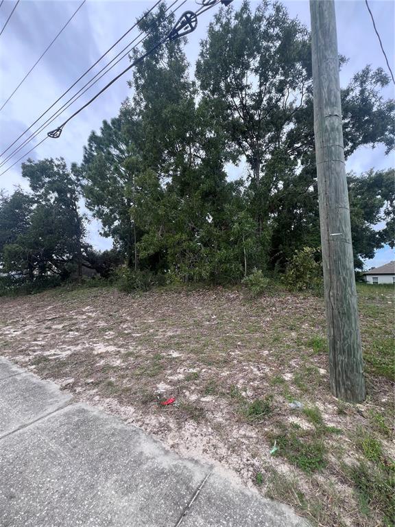 2469 Mariner Boulevard Spring Hill, FL 34608 - Photo 2 of 15 a view of a field with lots of trees