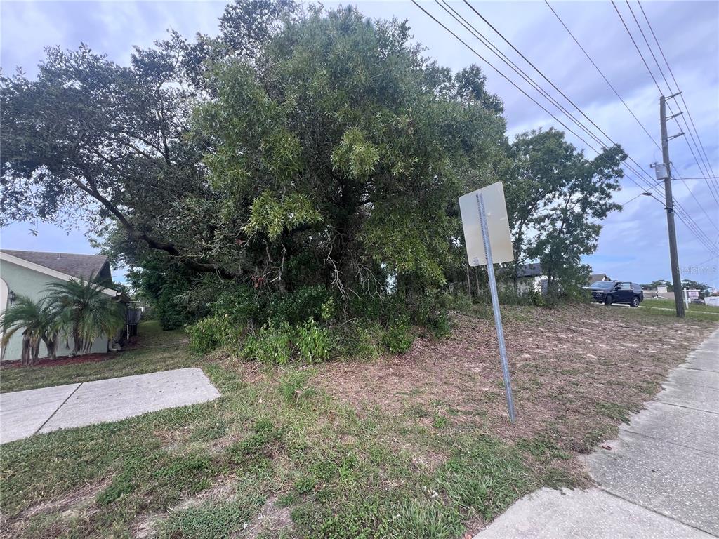2469 Mariner Boulevard Spring Hill, FL 34608 - Photo 5 of 15 a backyard of a house with lots of green space