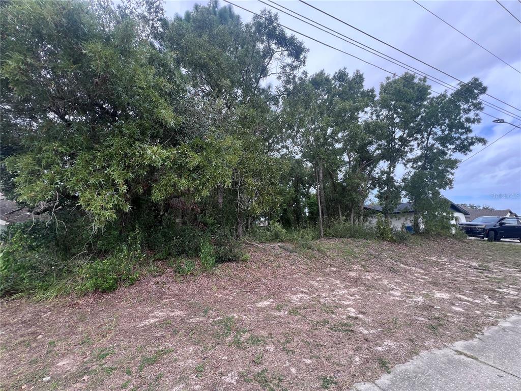 2469 Mariner Boulevard Spring Hill, FL 34608 - Photo 9 of 15 a view of a yard with a tree