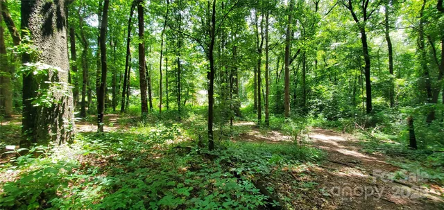 a view of outdoor space and green space