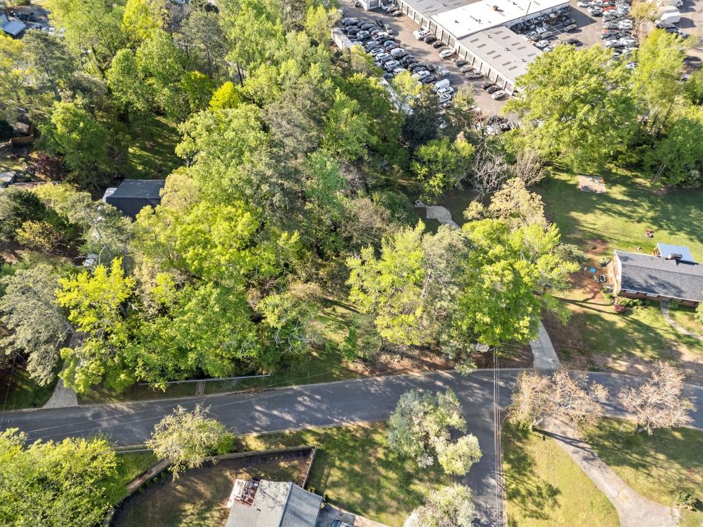 335 Alpine Drive Roswell, GA 30075 - Photo 3 of 15