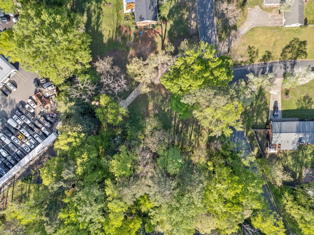 335 Alpine Drive Roswell, GA 30075 - Photo 4 of 15