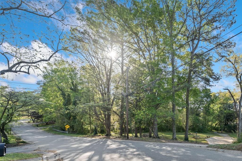 335 Alpine Drive Roswell, GA 30075 - Photo 6 of 15