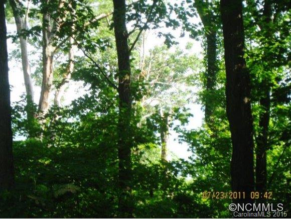 0 Country Ridge Road, Unit 1 Hendersonville, NC 28739 - Photo 1 of 4
