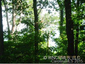 0 Country Ridge Road, Unit 1 Hendersonville, NC 28739 - Photo 3 of 4