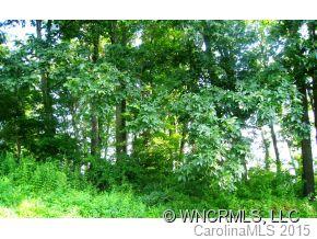 0 Country Ridge Road, Unit 1 Hendersonville, NC 28739 - Photo 4 of 4