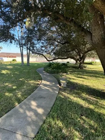 a view of a yard with an trees