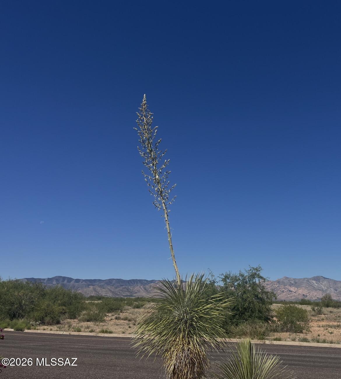 428 Dale Road Pearce, AZ 85625 - Photo 42 of 45