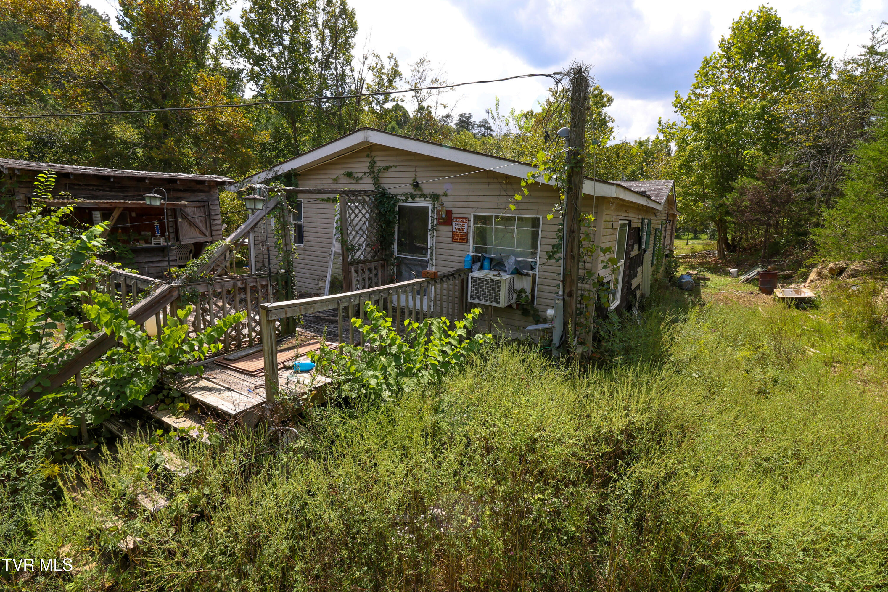 174 Coates Road Bulls Gap, TN 37711 - Photo 3 of 37 AM0A5924_1