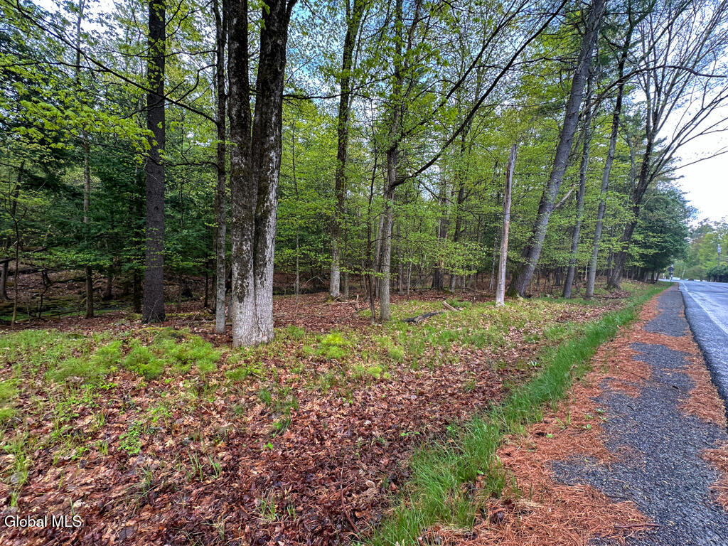 L59 Pilot Knob Road Kattskill Bay, NY 12844 - Photo 12 of 14 IMG_7280