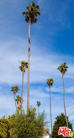 a vase of flowers sitting on a table