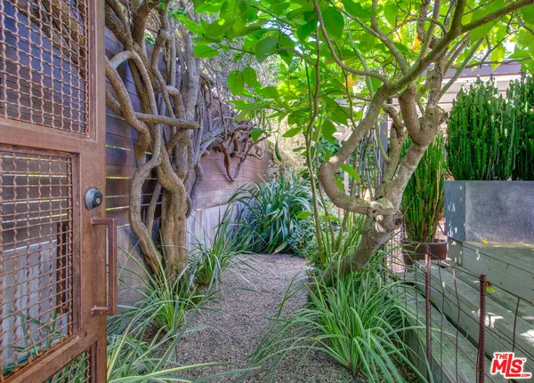 a backyard of a building with potted plants and large trees