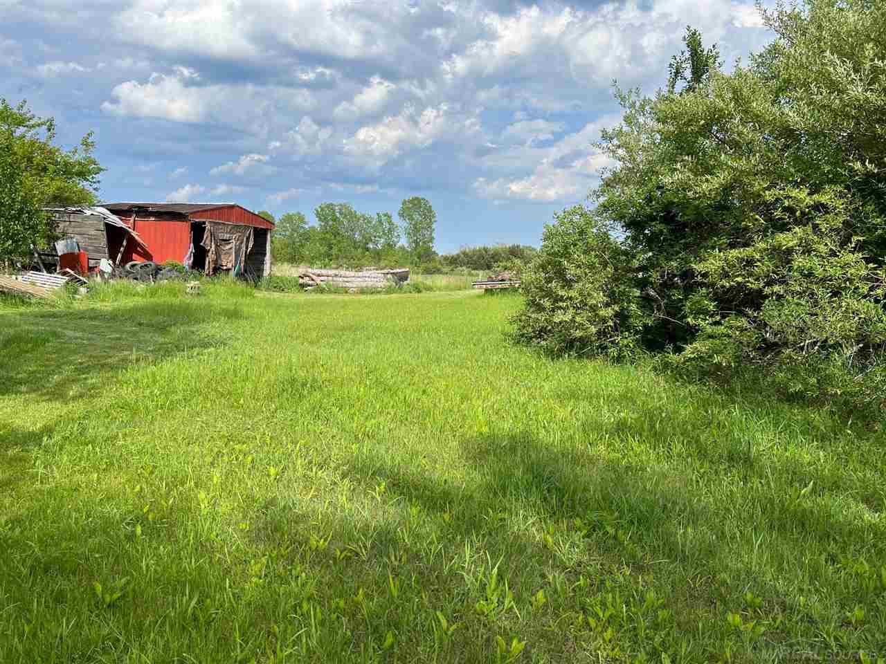 0 Forester Road Carsonville, MI 48419 - Photo 4 of 6