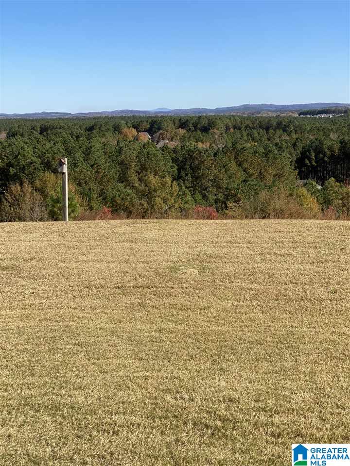 3116 Chelsea Park Ridge Chelsea, AL 35043 - Photo 23 of 25