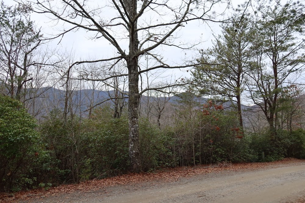 36 Baldview Road Hiawassee, GA 30546 - Photo 1 of 1 Gallery Image 1