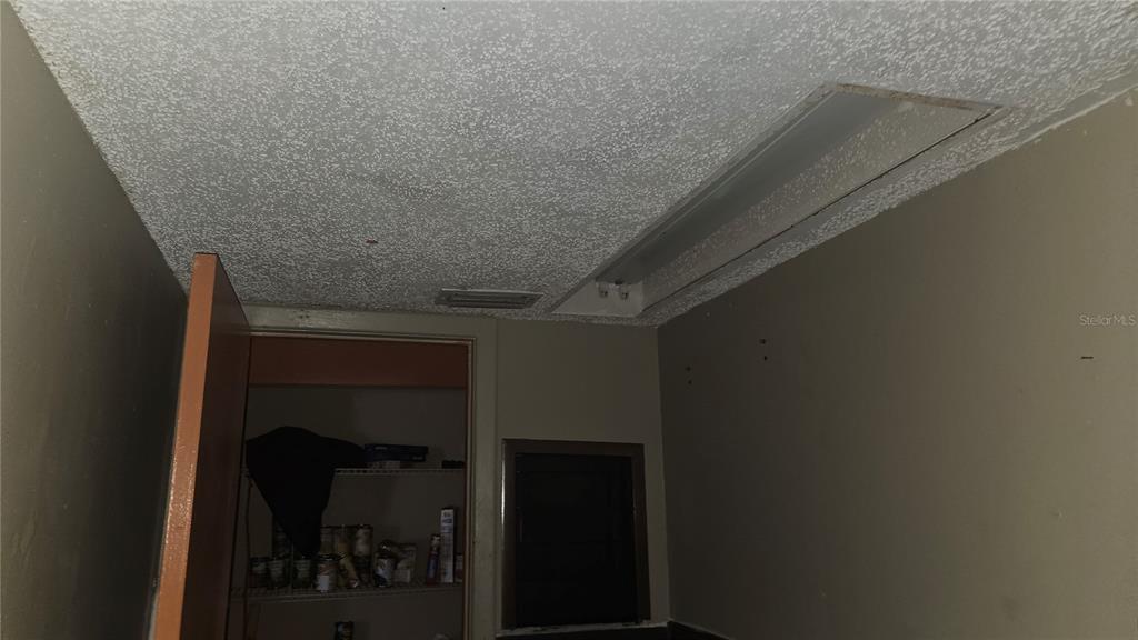 8428 Paxton Drive Port Richey, FL 34668 - Photo 54 of 100