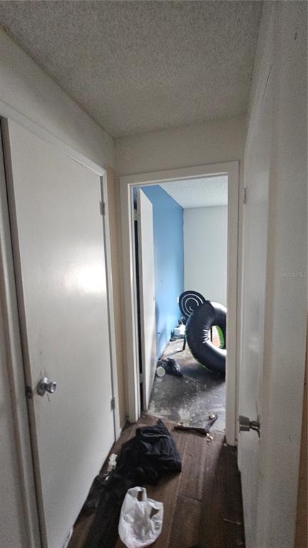 8428 Paxton Drive Port Richey, FL 34668 - Photo 73 of 100