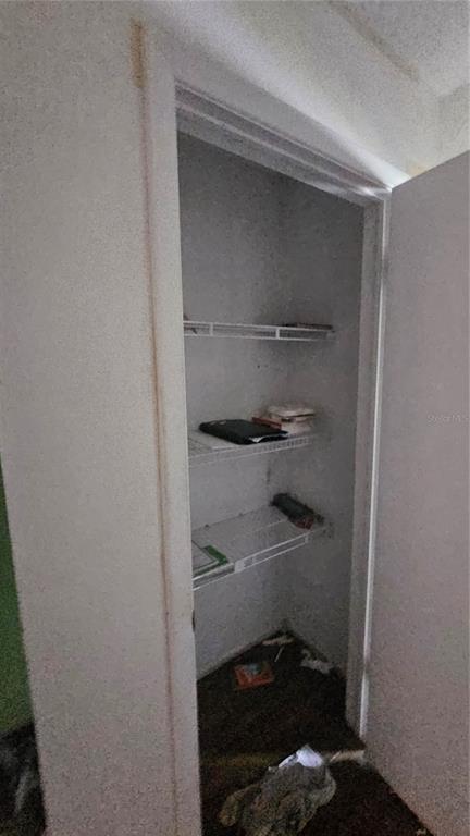 8428 Paxton Drive Port Richey, FL 34668 - Photo 77 of 100 a walk in closet with wooden floor