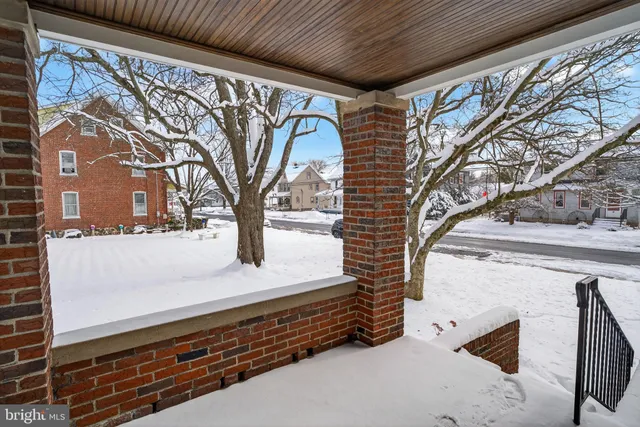 a view of backyard with a large tree