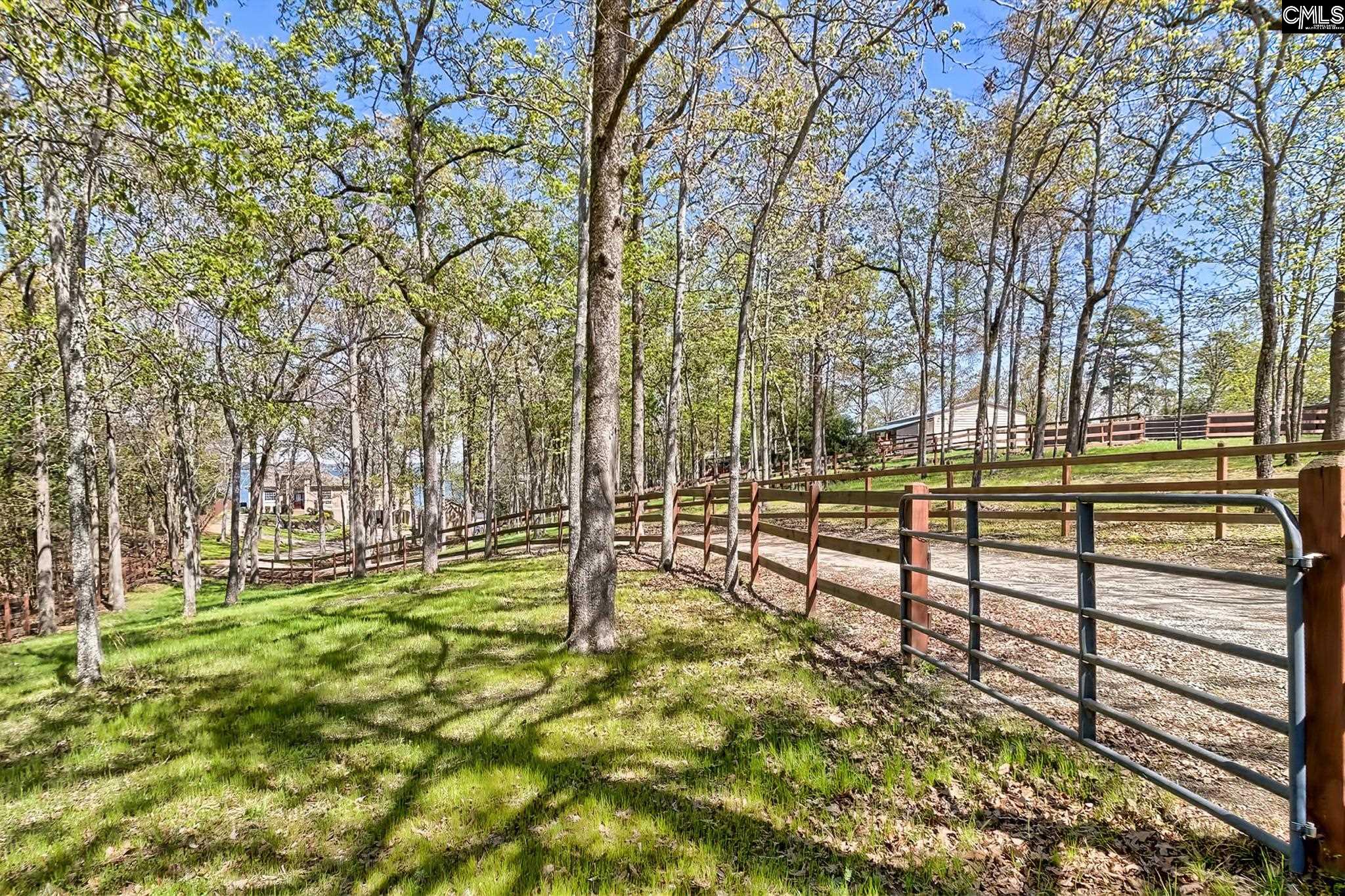 1305 Rock Island Road Gilbert, SC 29054 - Photo 17 of 58