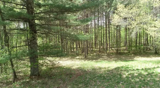 $319,900 | 7431 Jordan Buck Trail, Danbury, WI 54830