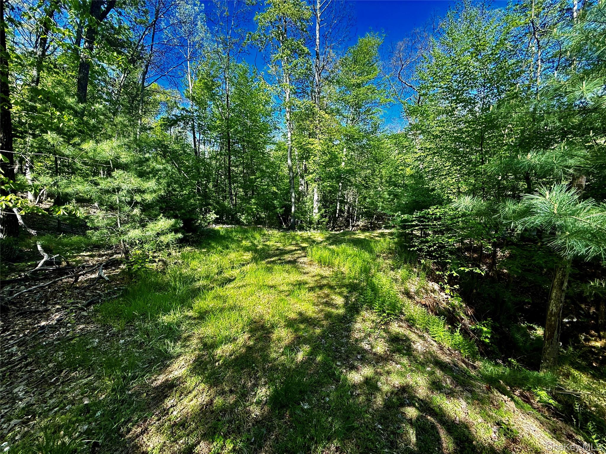 101 Stone Road Hurley, NY 12491 - Photo 15 of 24 a view of a garden