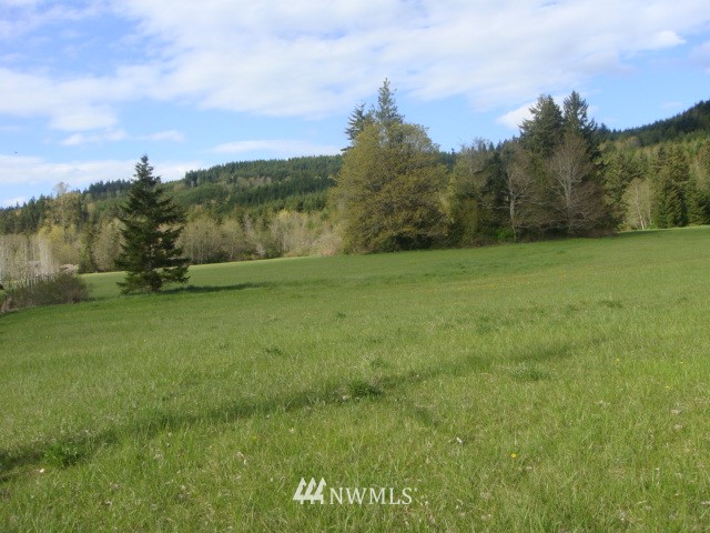 240 Jakeway Road Quilcene, WA 98376 - Photo 6 of 15