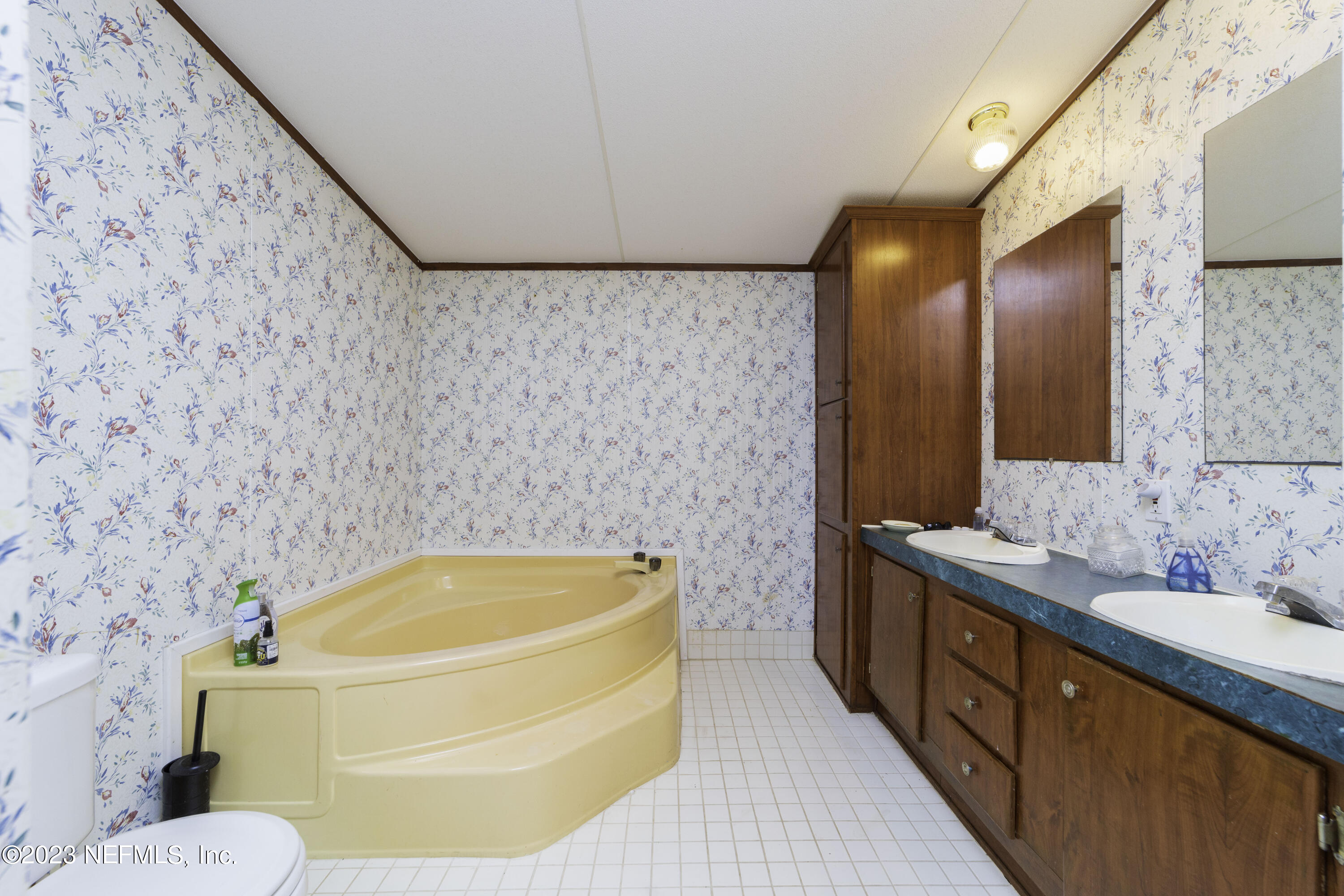 103 Long Branch Court Interlachen, FL 32148 - Photo 47 of 54 a bathroom with a tub sink and mirror