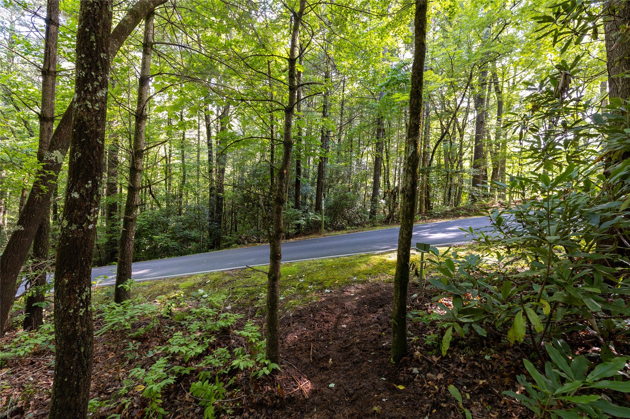 11-er Beaver Dam Road Sapphire, NC 28774 - Photo 7 of 45 Gallery Image 7