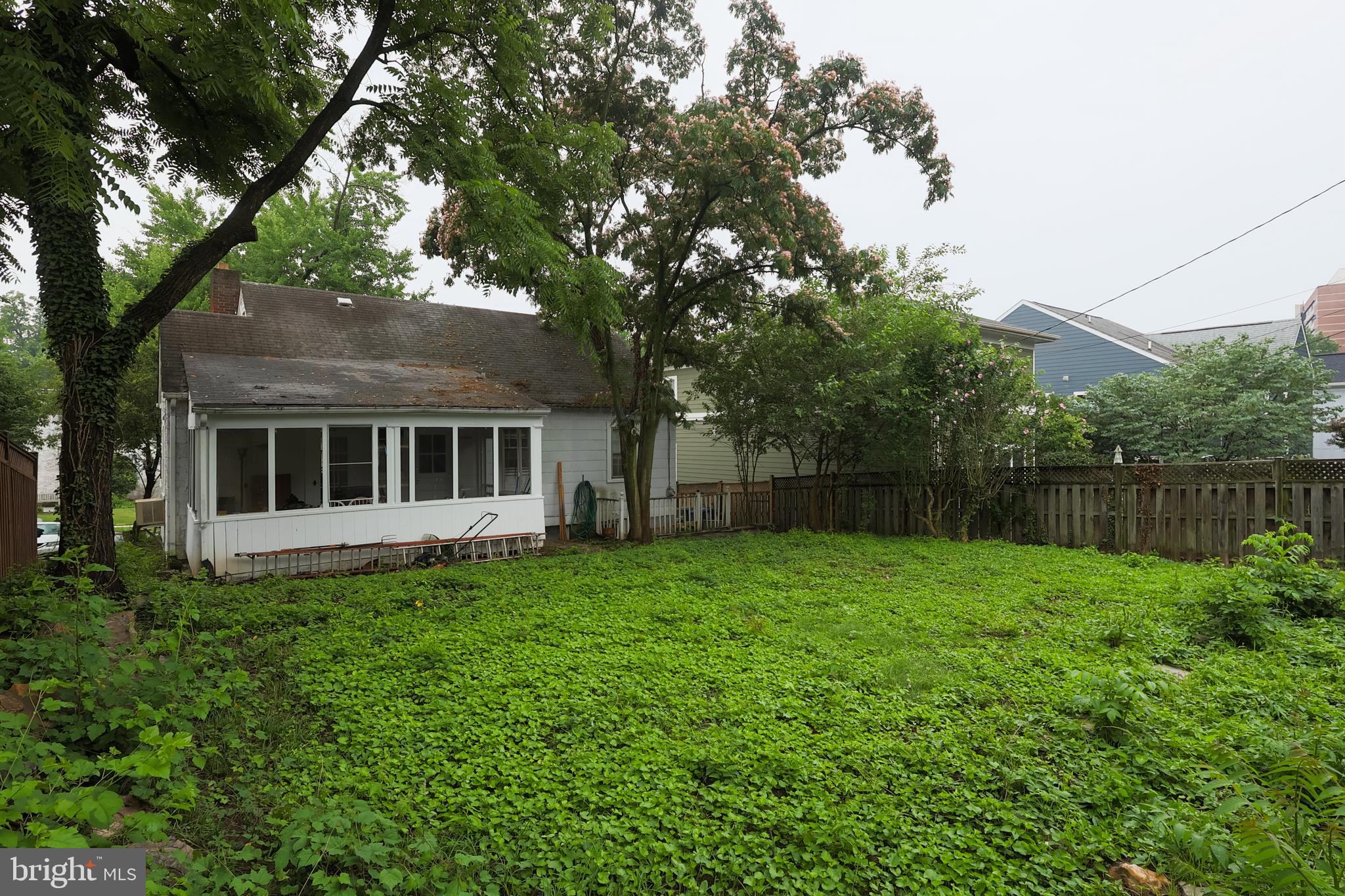 4827 16th Road North Arlington, VA 22207 - Photo 6 of 9