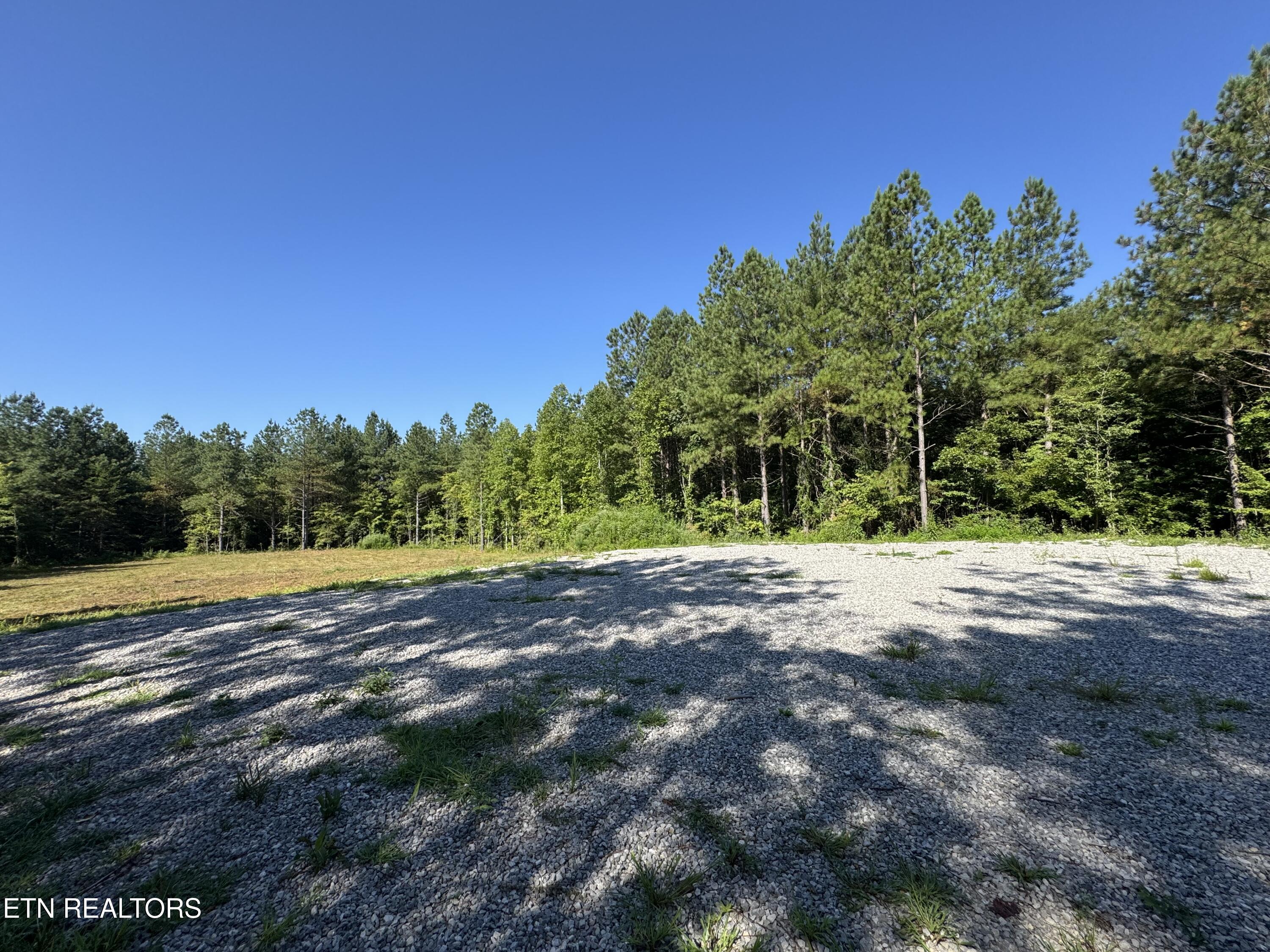 0 Higby Pvt Road Robbins, TN 37852 - Photo 12 of 15 IMG_8999