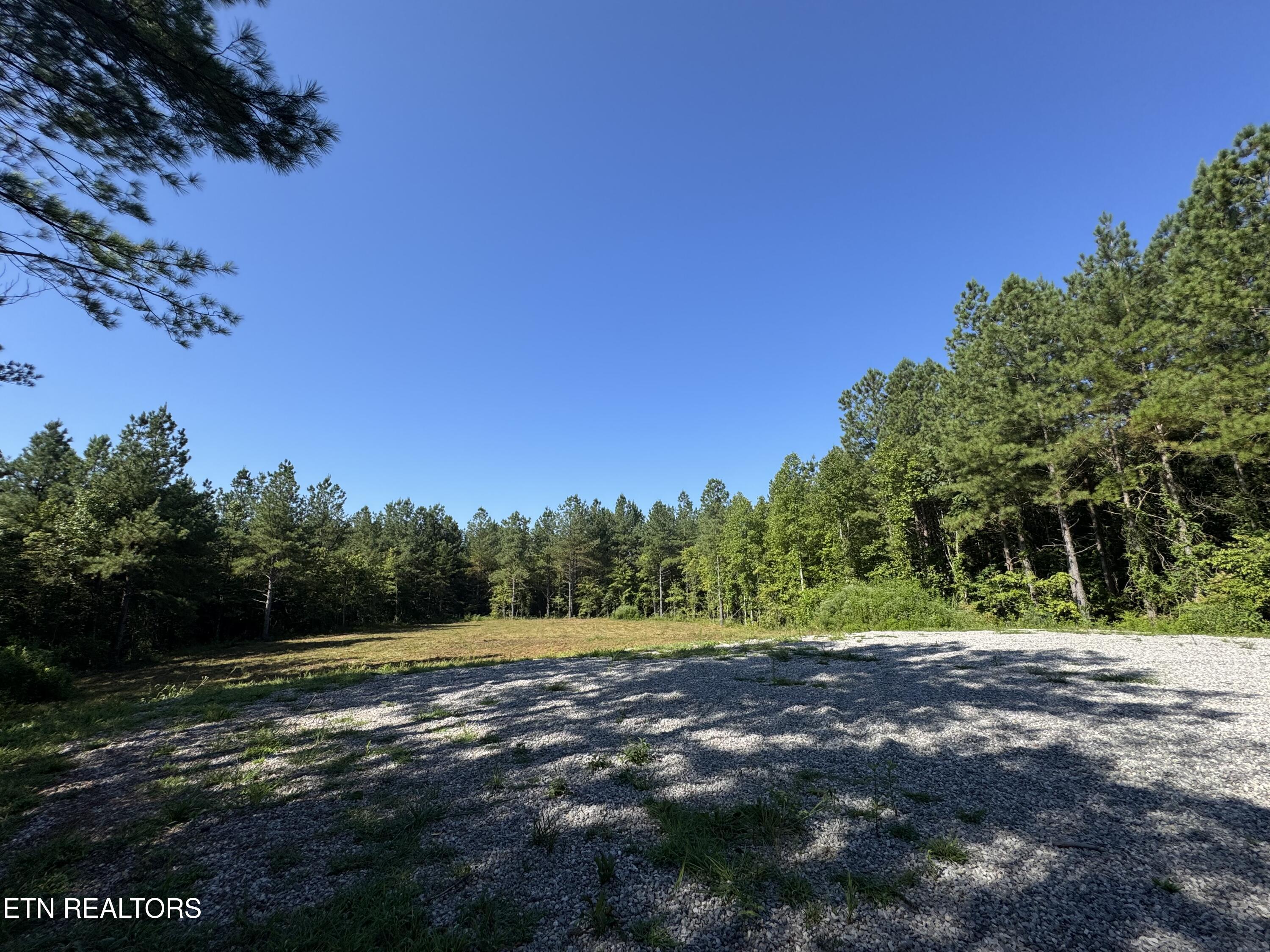 0 Higby Pvt Road Robbins, TN 37852 - Photo 13 of 15 IMG_8998