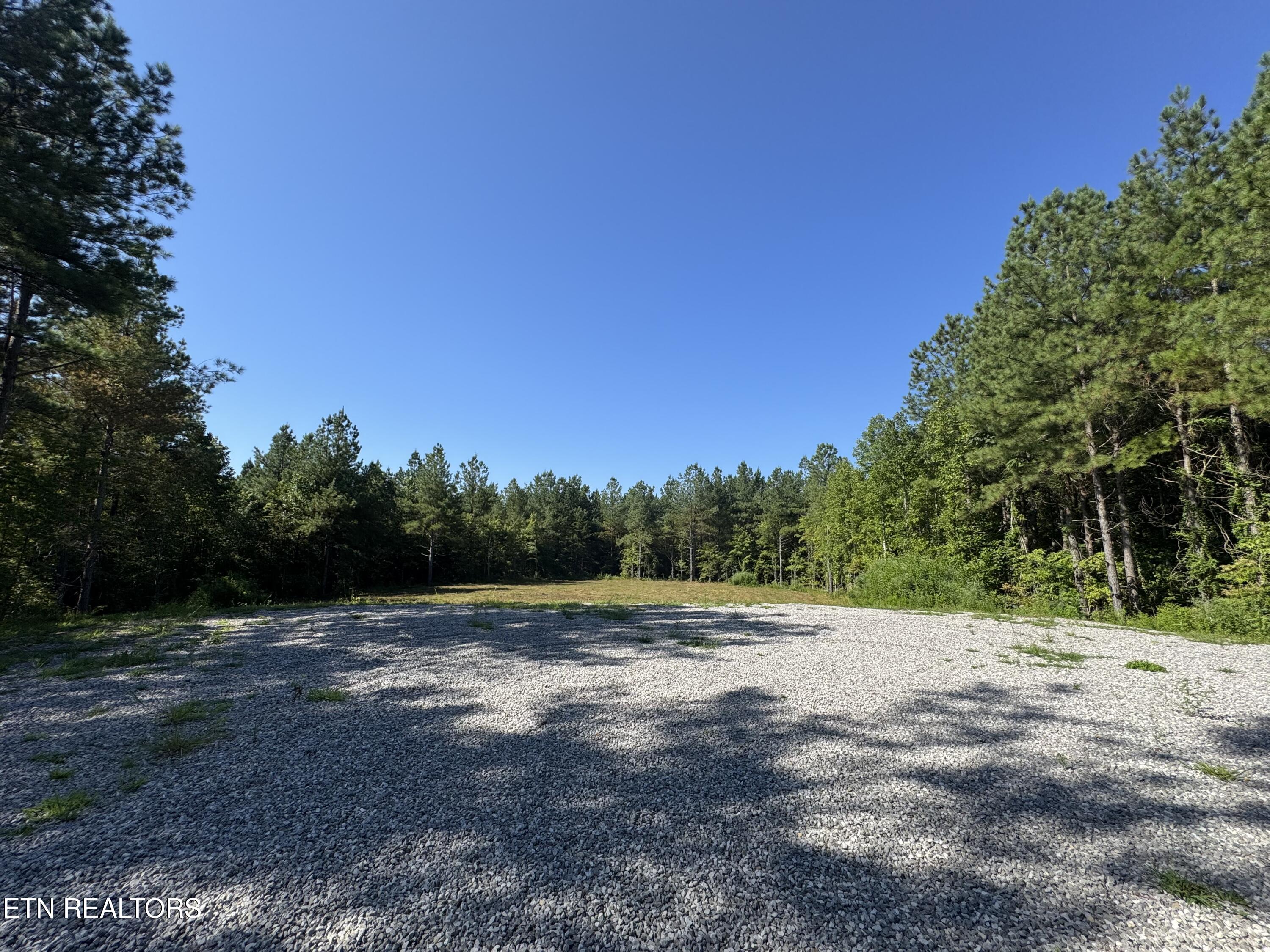 0 Higby Pvt Road Robbins, TN 37852 - Photo 14 of 15 IMG_8997