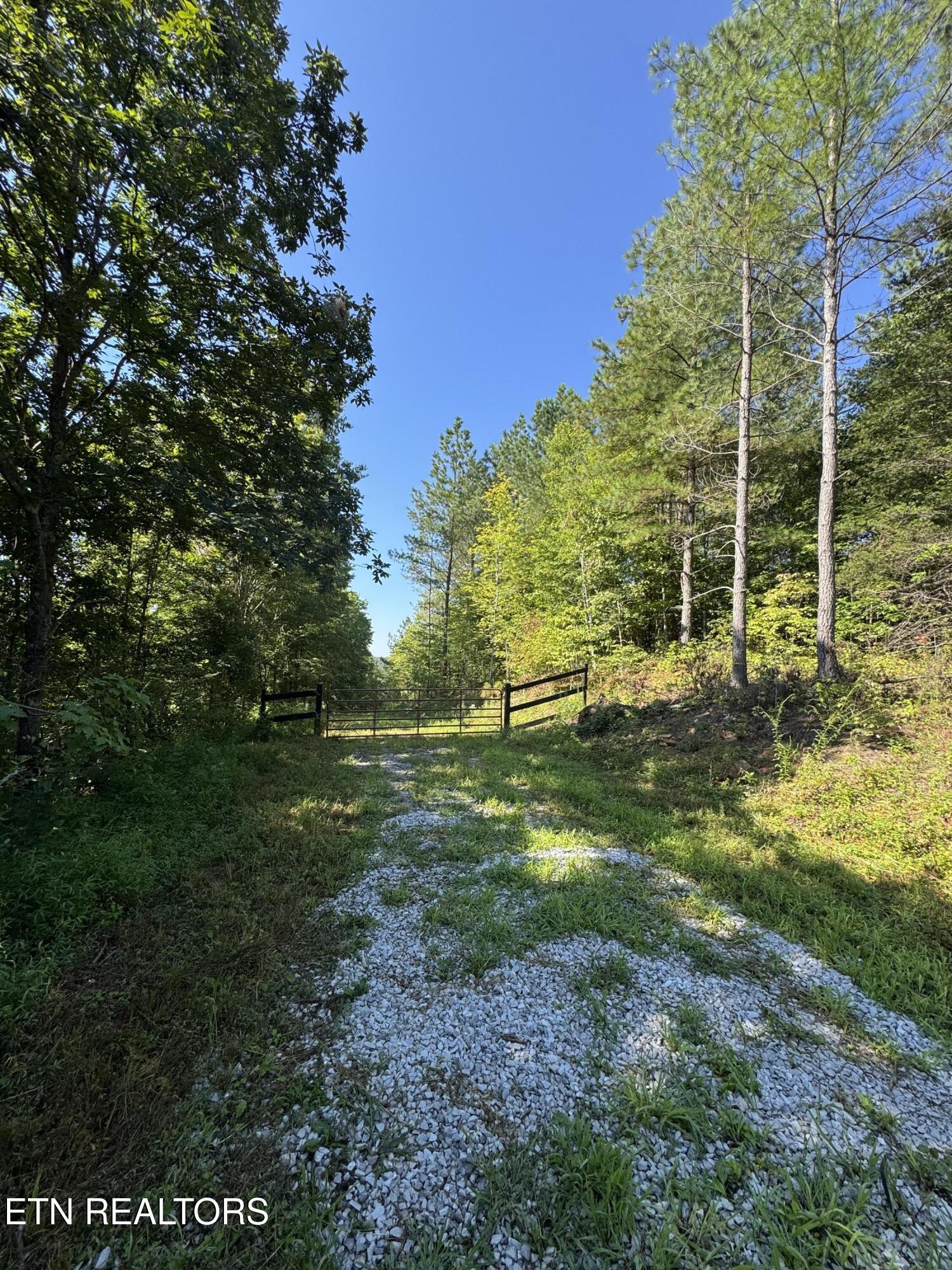 0 Higby Pvt Road Robbins, TN 37852 - Photo 15 of 15 IMG_8996