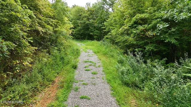 $148,000 | 0 Higby Pvt Road, Robbins, TN 37852