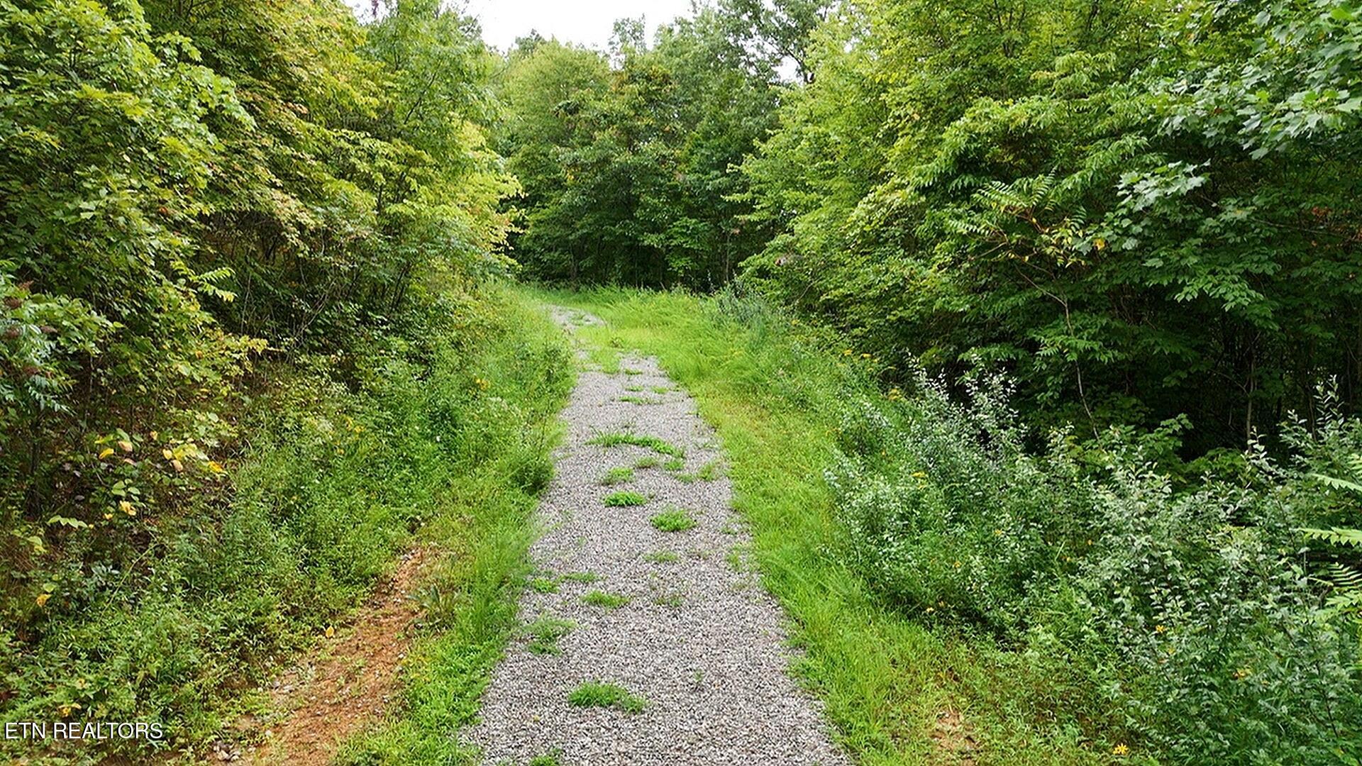 0 Higby Pvt Road Robbins, TN 37852 - Photo 3 of 15 dji_fly_20250813_112628_0_1755098788396_