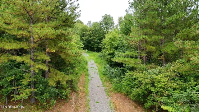$148,000 | 0 Higby Pvt Road, Robbins, TN 37852