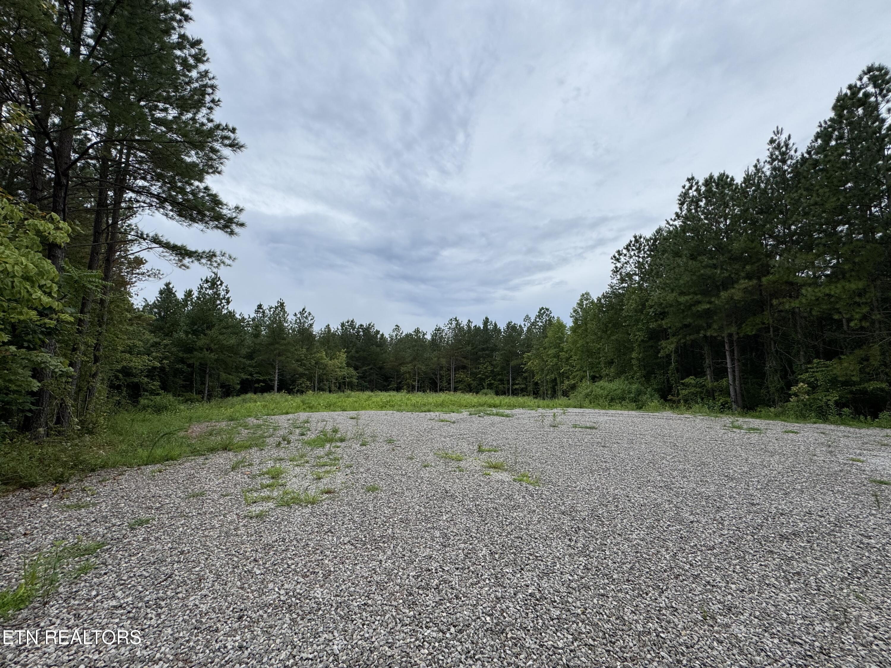 0 Higby Pvt Road Robbins, TN 37852 - Photo 5 of 15 IMG_8849