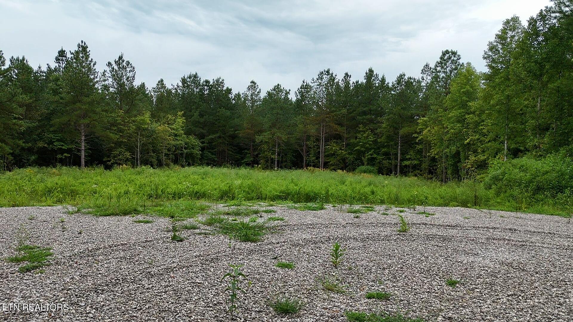 0 Higby Pvt Road Robbins, TN 37852 - Photo 6 of 15 dji_fly_20250813_112513_0_1755098713946_