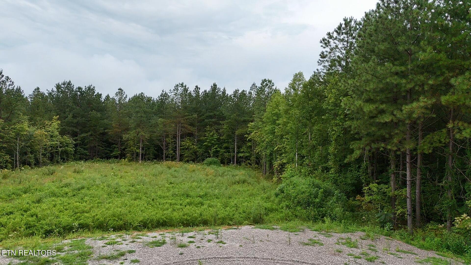 0 Higby Pvt Road Robbins, TN 37852 - Photo 7 of 15 dji_fly_20250813_112702_0_1755098822428_