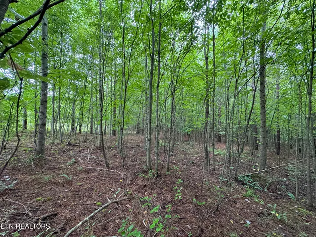 $148,000 | 0 Higby Pvt Road, Robbins, TN 37852