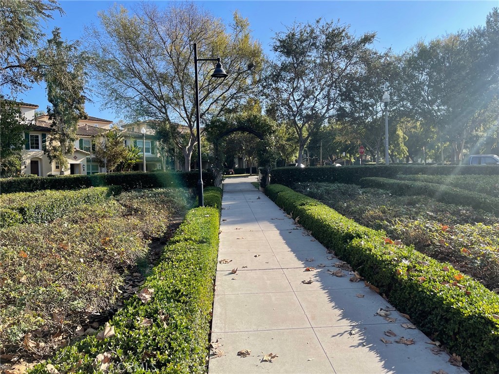 312 Quail Ridge Irvine, CA 92603 - Photo 23 of 35 a view of a pathway with a yard