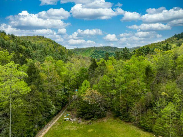 Tbd Dry Creek Road Erwin, TN 37650 - Photo 3 of 10 Land