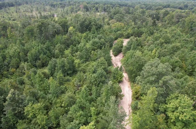 a view of a city with lush green forest