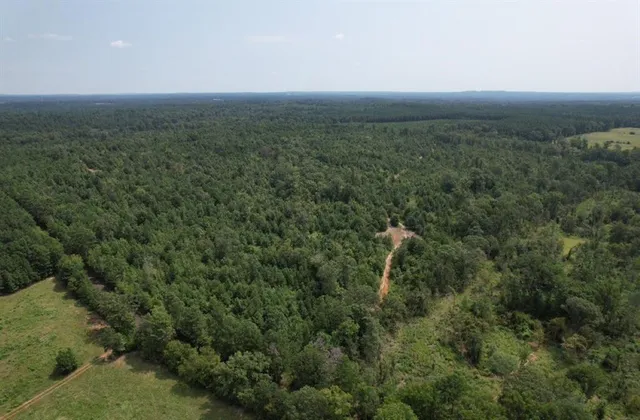 a view of a road with a yard
