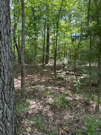 $927,000 | 3163 County Road 3163, Mount Enterprise, TX 75681