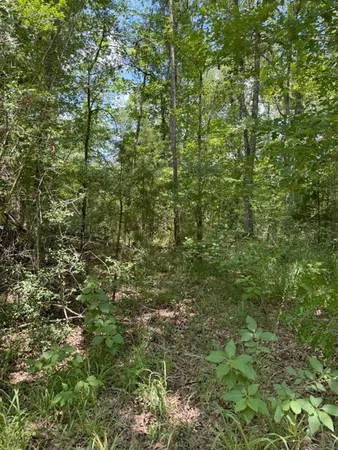 $927,000 | 3163 County Road 3163, Mount Enterprise, TX 75681