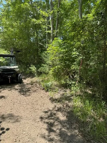 a view of a yard with a tree