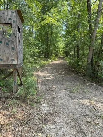 $927,000 | 3163 County Road 3163, Mount Enterprise, TX 75681
