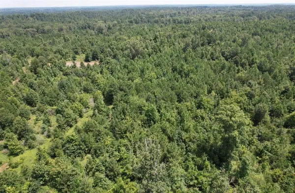 $927,000 | 3163 County Road 3163, Mount Enterprise, TX 75681